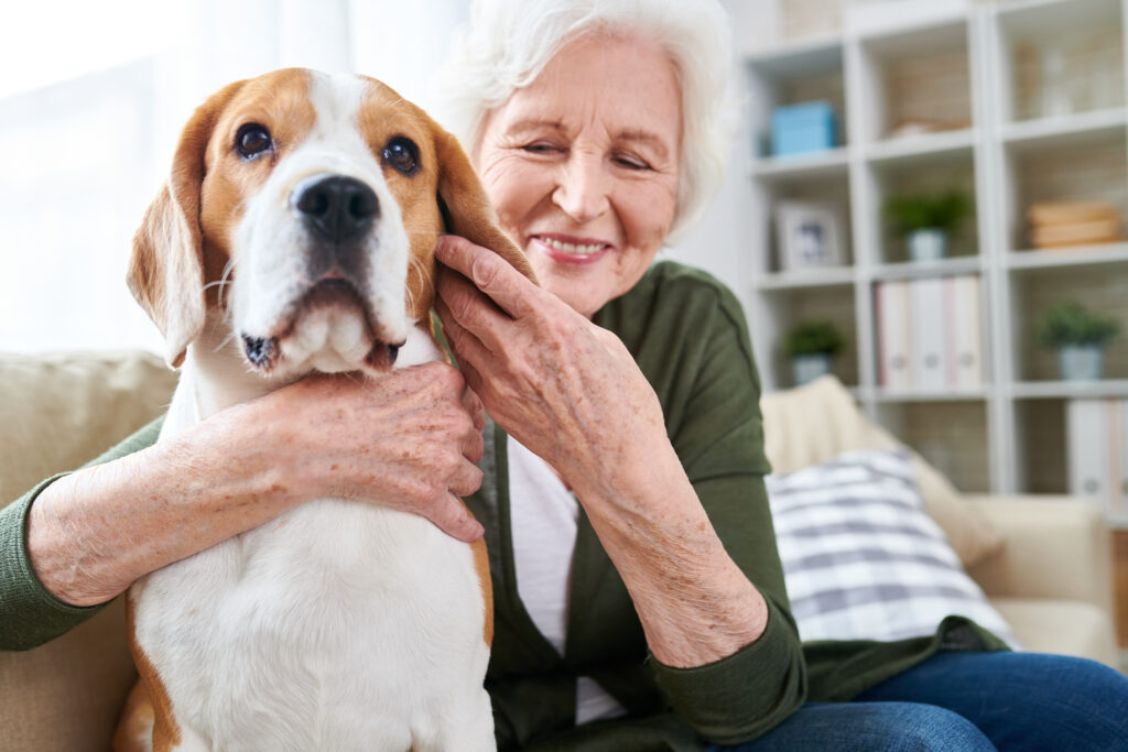 Portrait of happy senior woman lovingly hugging pet dog and smiling while enjoying weekend at home sitting on comfortable couch in modern apartment with her dog.